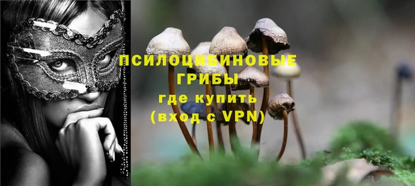 ешки Алексеевка