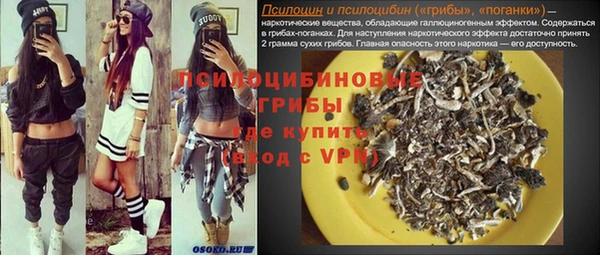 ECSTASY Алзамай