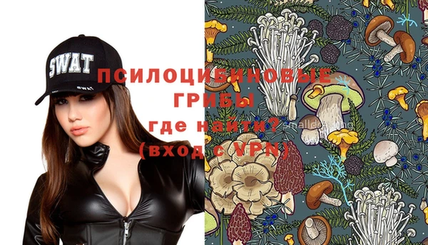 ECSTASY Алзамай