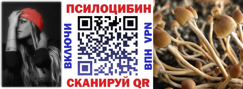 блэк спрут   Шуя  Галлюциногенные грибы Cubensis 